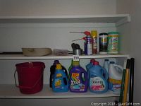 Shelves with cleaning bottles showing laundry detergents, fabric softener, bleach, Lysol wipes and sprays, and cleaning bucket