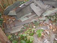 Stack of natural slate flagstones outdoors on ground with surrounding leaves and some ivy visible, slate slabs roughly 15x15 inches laid in pile.