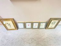 Six framed botanical prints lined up against wall
