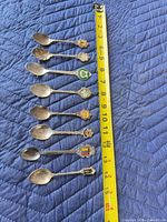 Nine spoons top view showing enamel crests and tape measure indicating length