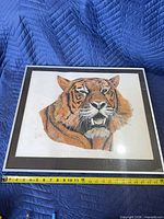 Front view showing full tiger print, mat, frame and tape measure