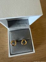 Earrings in open Michael Hill box