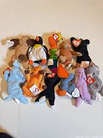 Group shot of all eleven Ty plush toys
