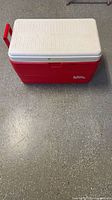 Front view of Igloo red cooler with white lid closed