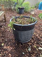Horizontally ribbed cylindrical black planter showing soil and wear