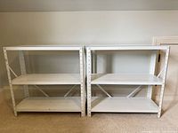 Both shelving units side by side showing overall condition