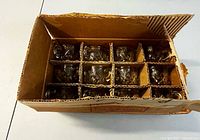 Top view of box with 12 punch cups in cardboard dividers