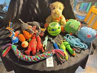 Full group of assorted dog toys on black background