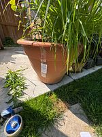 Full view of terracotta planter with plants inside