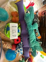 Group shot showing all assorted dog toys together