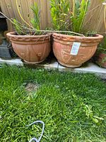 pair of terracotta planters side by side on lawn