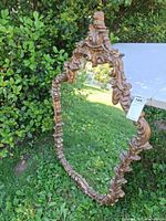 Full view gilded Rococo mirror leaning against foliage