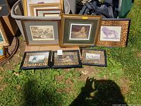 Group shot of all framed prints on grass showing variety of sizes, frames and mats