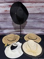 All five hats displayed together for overview
