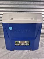 Front view of Igloo cooler showing logo and color