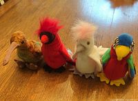 Group shot of all four Ty Beanie Babies birds standing side by side on tabletop