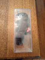 Ally Beanie Baby inside clear plastic display box