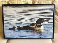 Front view of full canvas print showing loon with chicks and frame
