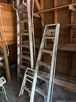 All three ladders standing in garage showing relative heights and materials