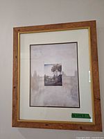 Full view of framed landscape wall art
