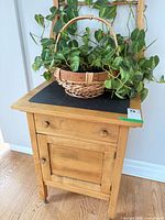 Front view of washstand with basket and plant displayed on top