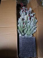 Tree in original shipping box wrapped in bubble wrap
