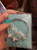 Front view of packaged stainless steel charm bracelet showing cable band and hanging charms
