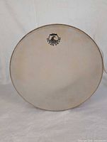 Front batter head with Remo Ocean Drum logo visible