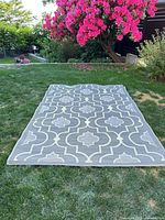 Full view of rug showing pattern and size