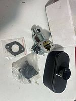 All parts laid out: carburetor, air filter, gasket, diaphragm