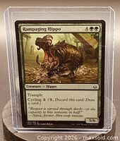 Front of Rampaging Hippo card showing all text and artwork