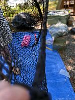 Close-up of nylon mesh pattern and elasticity