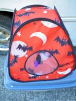 Front view of orange collapsible cat tunnel tent cube showing bat and moon print and circular opening