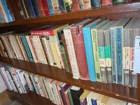 Shelf with two rows of assorted vintage paperback novels