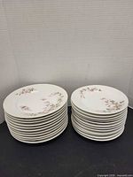 Two stacks of Limoges plates showing floral pattern and quantity