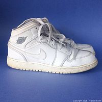 Side profile of both sneakers displaying overall condition and colourway