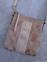Front view of Coach khaki Signature Stripe Swingpack bag