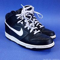 Pair of Nike Dunk High sneakers front angle showing laces and colourway