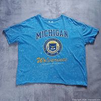 Full front view of blue tie-dye Michigan Wolverines T-shirt