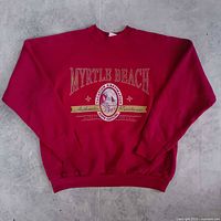 Full view of sweatshirt front showing color, graphic and overall condition