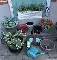 Group shot of all planters, plants, accessories