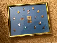 Overall shot of framed pin collection showing frame, glass and pin arrangement