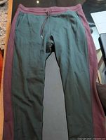 Full view of joggers front showing color blocking and drawstring waistband