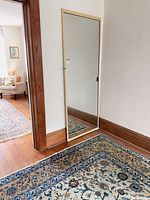 Full view of mirror door standing against wall showing frame color and overall dimensions