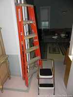 Photo of both ladders side by side, showing the height difference, design and colors