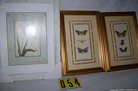 All three framed prints side by side