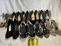 Group shot of all nine pairs arranged in rows