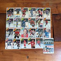 all 25 hockey cards laid out for overview
