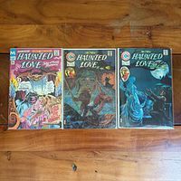 All three Haunted Love comics bagged on wooden surface