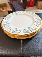 Stack of Rocaille dinner plates showing rim design